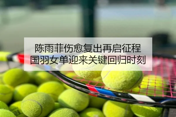 陈雨菲伤愈复出再启征程 国羽女单迎来关键回归时刻