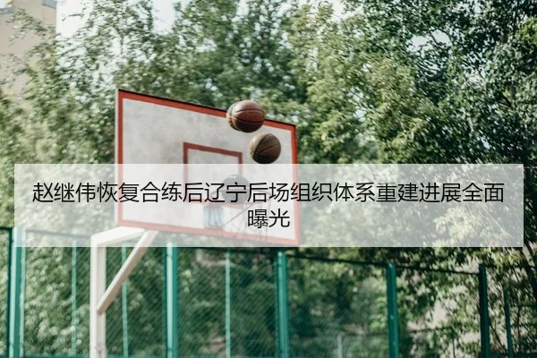 赵继伟恢复合练后辽宁后场组织体系重建进展全面曝光