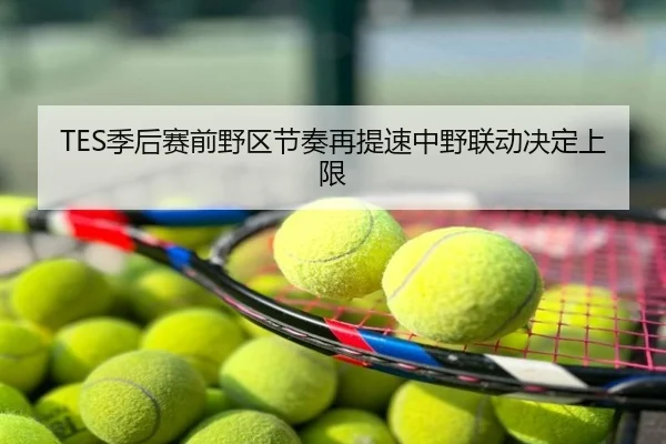 TES季后赛前野区节奏再提速中野联动决定上限