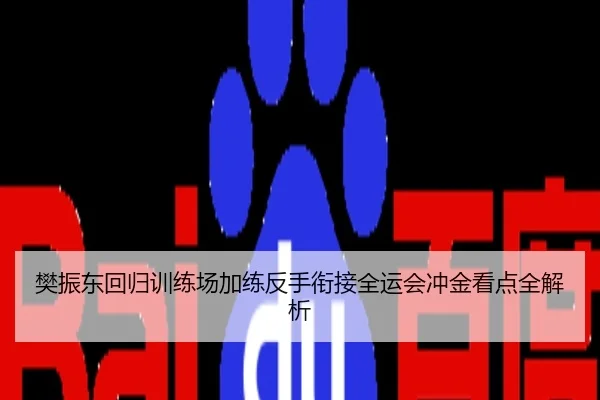 樊振东回归训练场加练反手衔接全运会冲金看点全解析